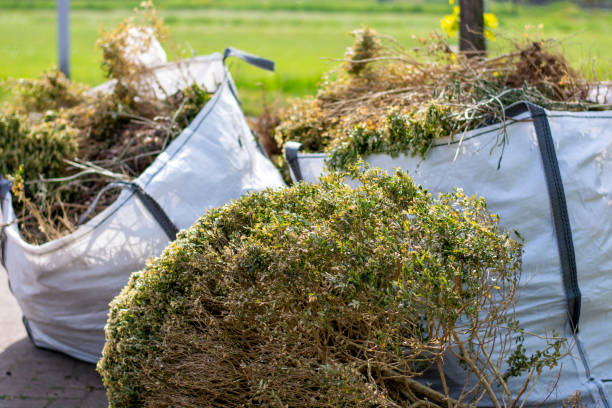Trusted Roanoke Rapids, NC Junk Removal Experts